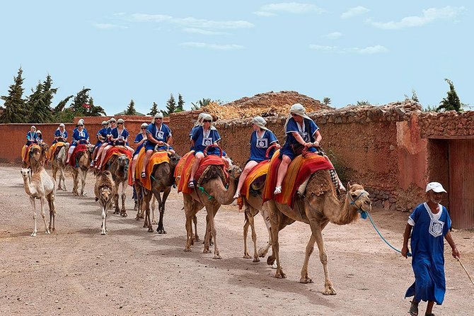 1 marrakech camel ride tour Marrakech Camel Ride Tour