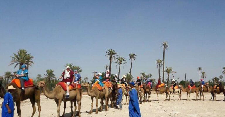 Marrakech: Camel Trek