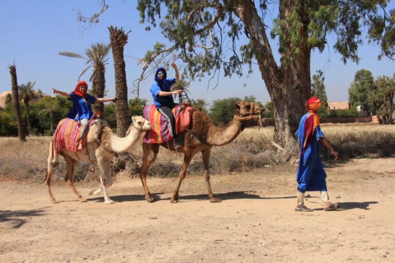Marrakech: Combo Quad & Camel in the Jbilat Desert
