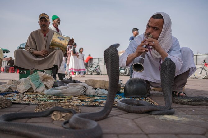 Marrakech Day Tour Immersion in Craft and Culture in VIP Van