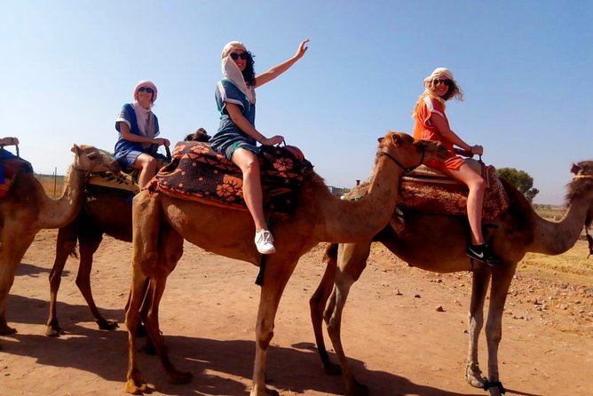 Marrakech Desert Sunset With Camel Ride