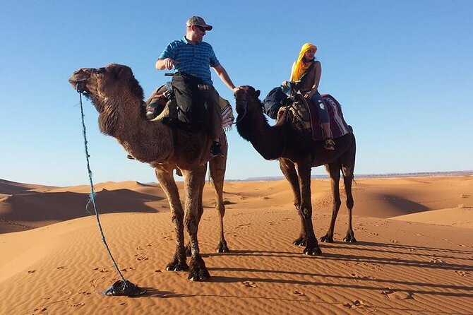 Marrakech Desert Tour to Fes