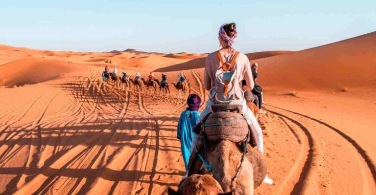 Marrakech: Desert Tours 3 Days to Fes