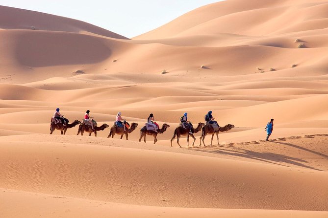 Marrakech Desert Trip Chigaga Dunes Riding Camel Sandboarding