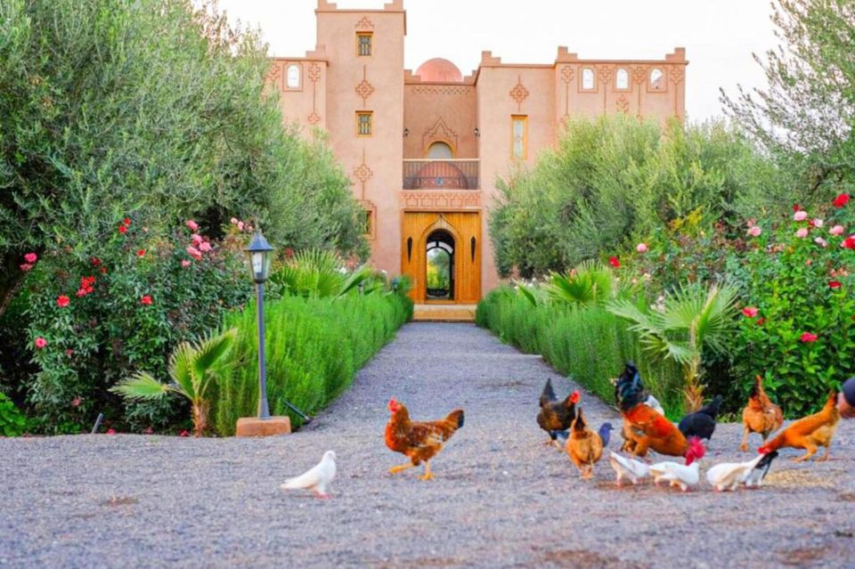 1 marrakech experience yoga in natures haven detox day Marrakech: Experience Yoga in Nature's Haven - Detox Day