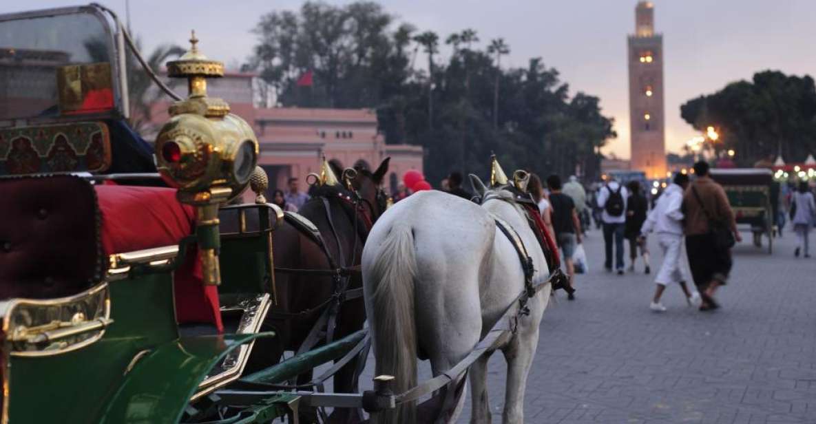 Marrakech Full-Day Guided Tour With Lunch