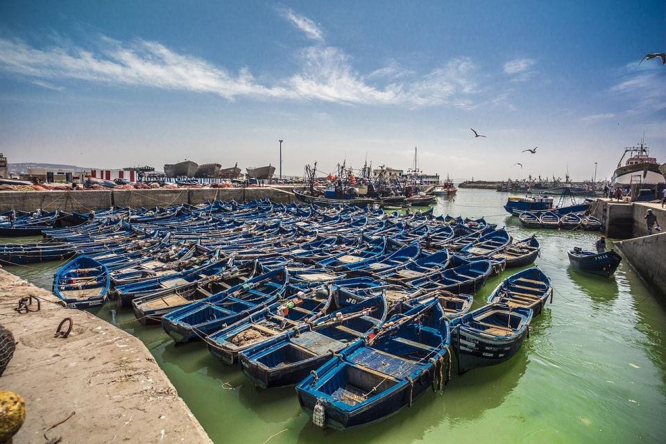 1 marrakech guided day trip to essaouira with co op visit Marrakech: Guided Day Trip to Essaouira With Co-Op Visit