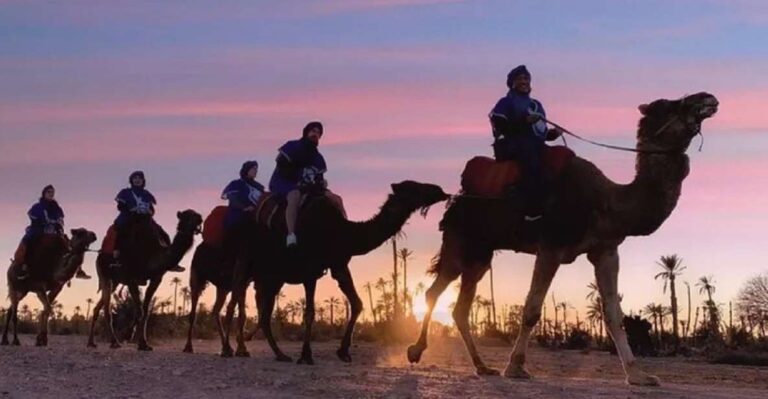 Marrakech Half Day Tour: Camel Ride And Quad Biking