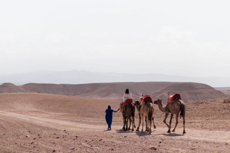 Marrakech: Half Day Tour To Agafay Desert and Camel Ride