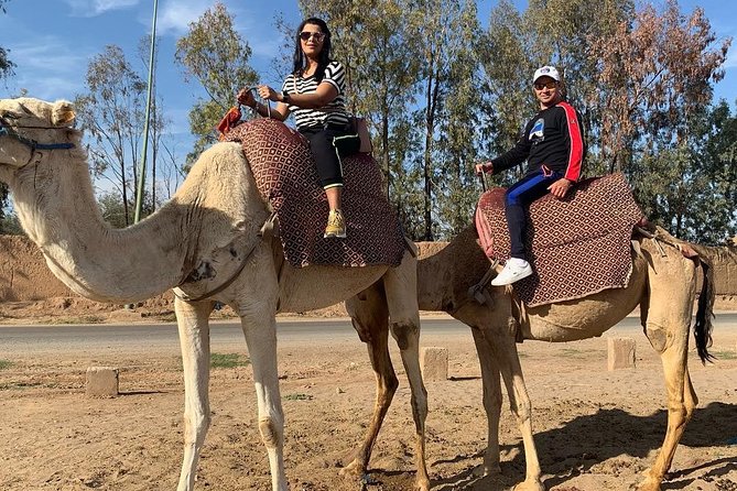 1 marrakech luxery sunset camel ride Marrakech Luxery Sunset Camel Ride