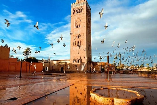 Marrakech Magical City Day Trip From Agadir With Amazing Guide
