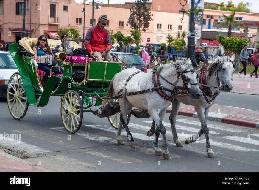 1 marrakech majorelle menara gardens tour by carriage ride Marrakech: Majorelle & Menara Gardens Tour by Carriage Ride