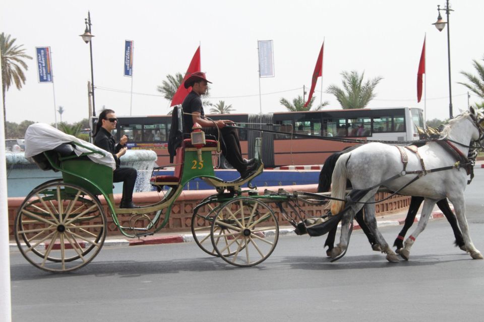 1 marrakech majorelle menara gardens tour carriage ride 5 Marrakech: Majorelle & Menara Gardens Tour & Carriage Ride