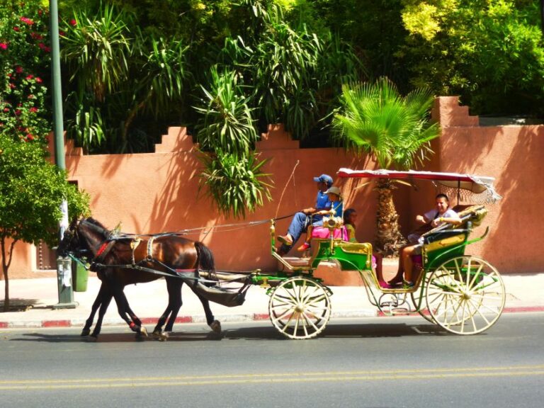 Marrakech: Majorelle & Menara Gardens Tour & Carriage Ride