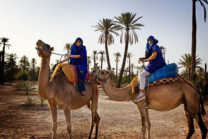 Marrakech Oasis Escape: Camel Ride & Quad Bike Adventure