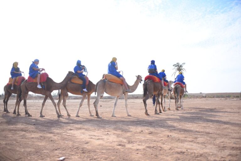 Marrakech: Pack Quad and Camel Ride in the Palm Grove