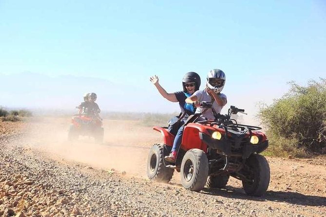 Marrakech Palm Grove ATV and Camel Ride Small Group Tour
