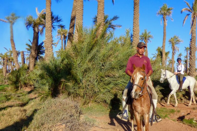 Marrakech: Palm Grove Horseback Riding Tour