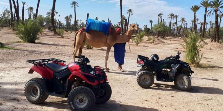 Marrakech Palmeraie : 3 Hours Camel Ride & Quad Bike
