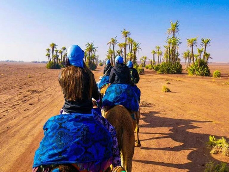 Marrakech Palmeraie : Camel Ride in the Oasis With Tea