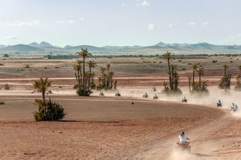 Marrakech: Quad in Jbilets Desert Tour W/ Palm Grove & Pool