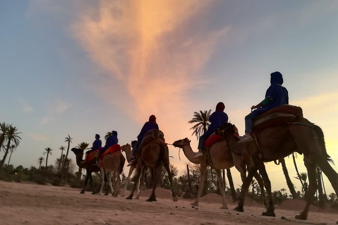 1 marrakech sunset camel ride in the palm grove Marrakech Sunset Camel Ride in the Palm Grove