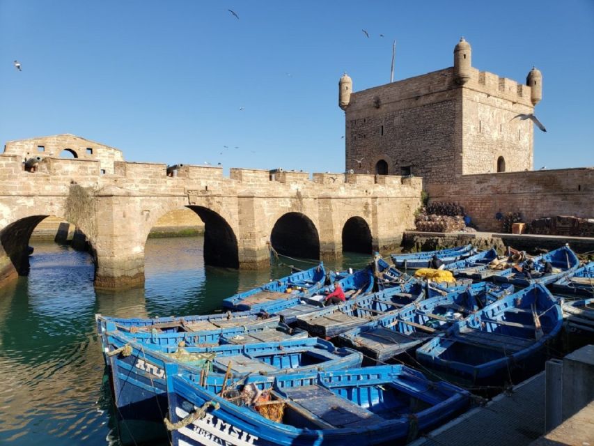 Marrakech To Essaouira Fully Day Tour - Experience in Essaouira