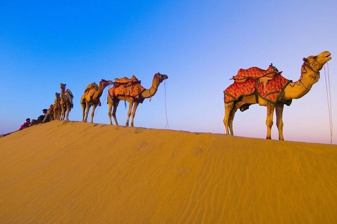 Marrakech to Merzouga 3-Day Desert Safari
