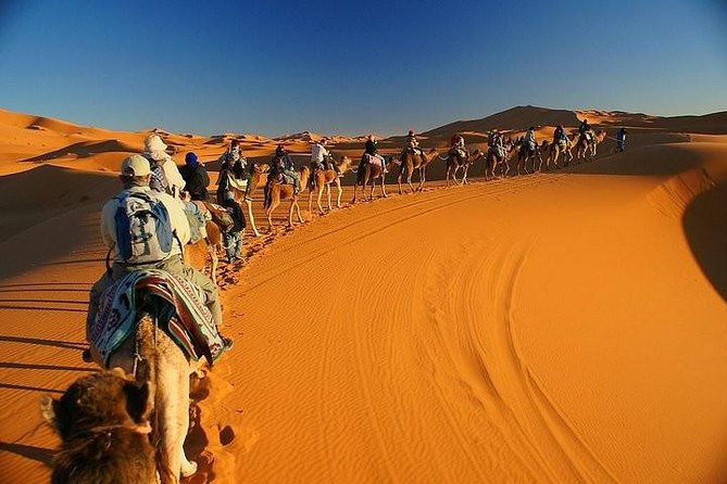 Marrakech to Merzouga Private 2-Night Desert Experience
