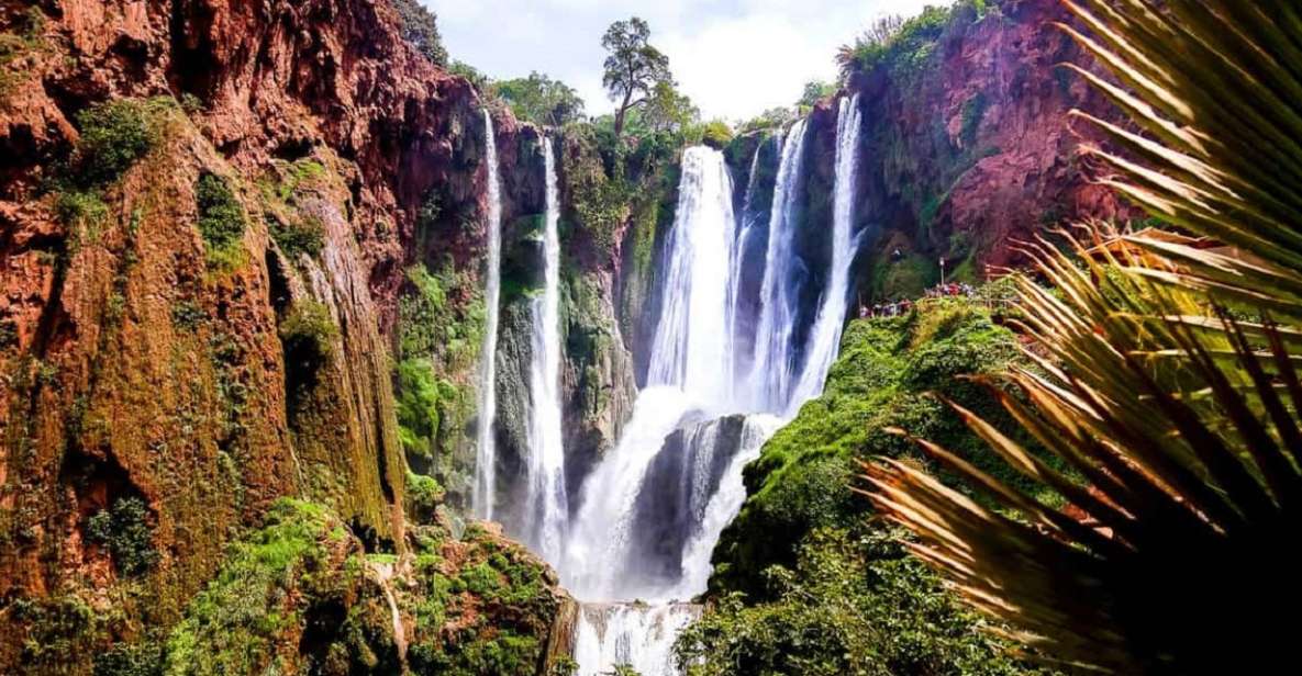 1 marrakech to ouzoud waterfalls all exclusive day trip Marrakech To Ouzoud Waterfalls All Exclusive Day Trip