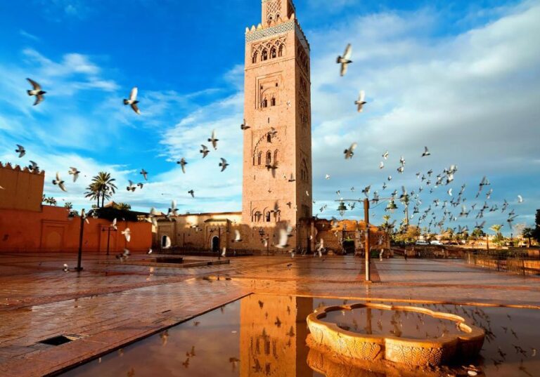Marrakech: Tour of Majorelle and Menara Gardens