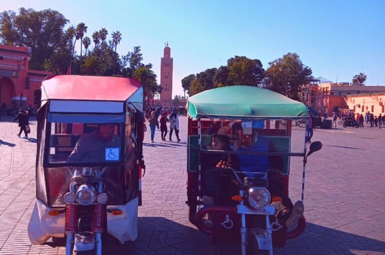 Marrakech Tuktukguidebahia Palacemadrassa Souks