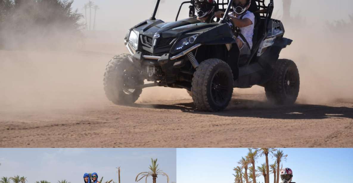 1 marrakechactivities quad bik buggy camel at the palm grove Marrakech:Activities Quad Bik/Buggy/Camel at the Palm Grove