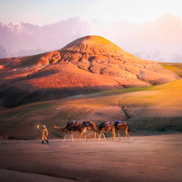 1 marrakesh agafay desert sunset camel ride dinner show Marrakesh: Agafay Desert Sunset, Camel Ride & Dinner Show