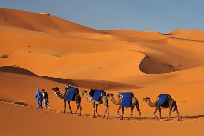 Marrakesh Desert Tour 3 Days