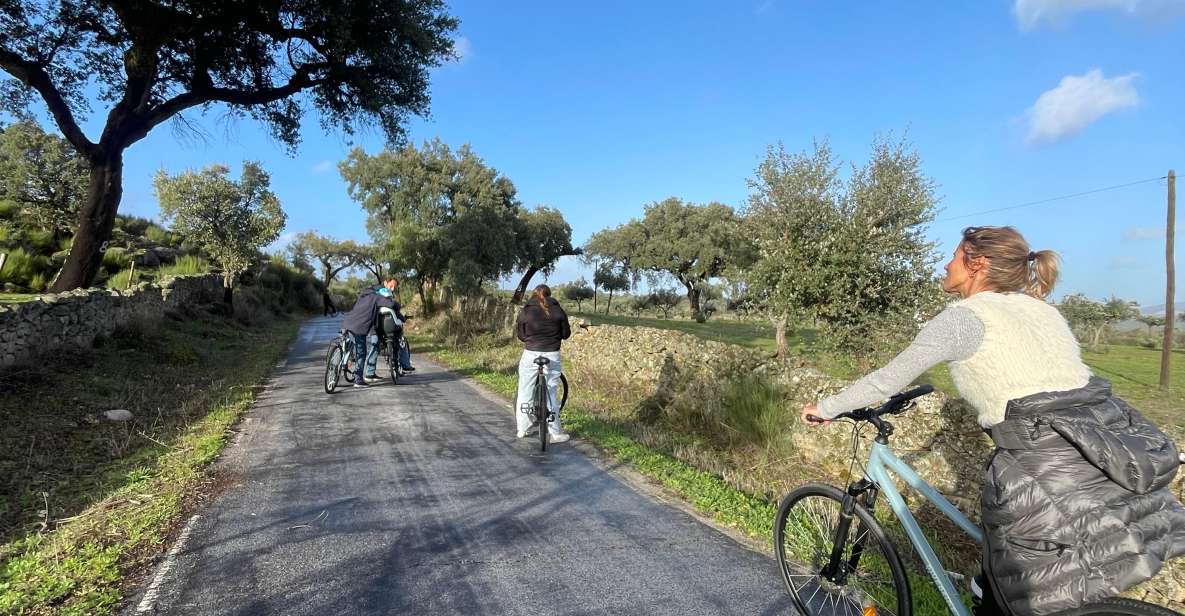 1 marvao bike tours in nature Marvão: Bike Tours in Nature