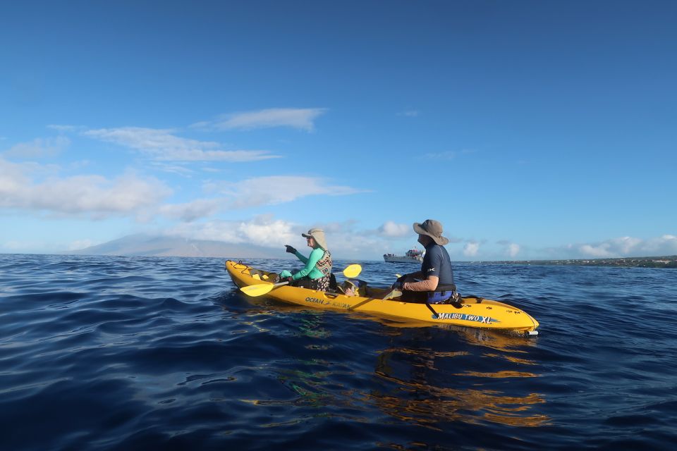 Maui: Turtle Town Kayak And Snorkel Tour