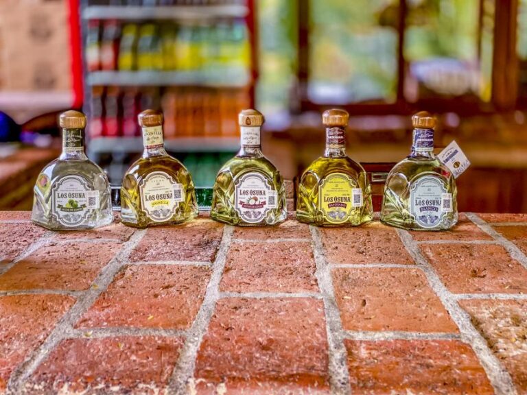 Mazatlán: Tequila Factory & Country Sightseeing