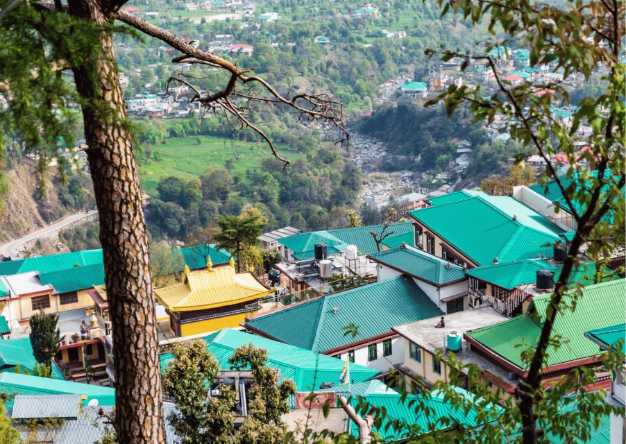 Mcleodganj Nature Trek (3 Hours Guided Walking Tour)