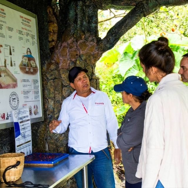 Medellin: Coffee Farm and Barista Workshop Experience