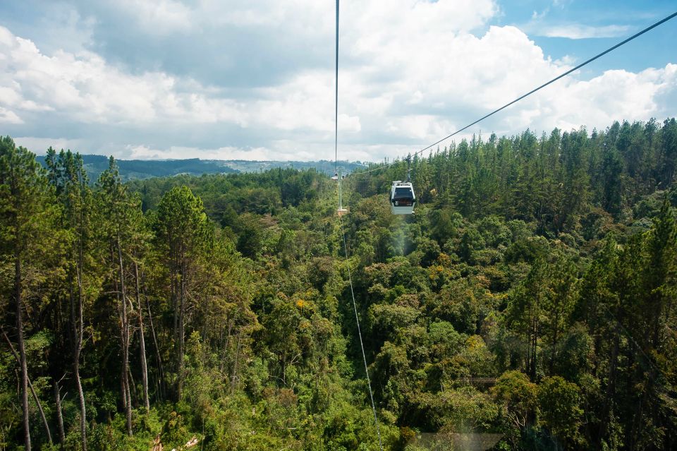 1 medellin guided nature discovery tour Medellin: Guided Nature Discovery Tour