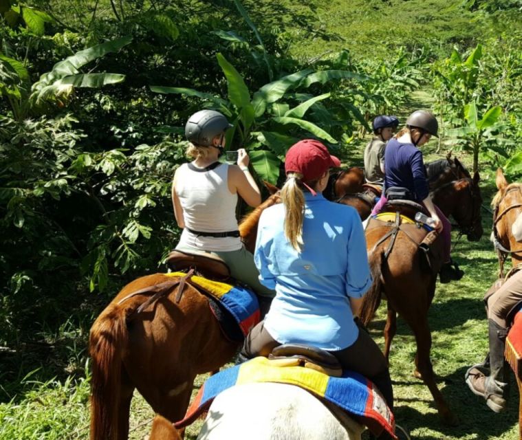 Medellin: Guided Tour on Horseback in Nature