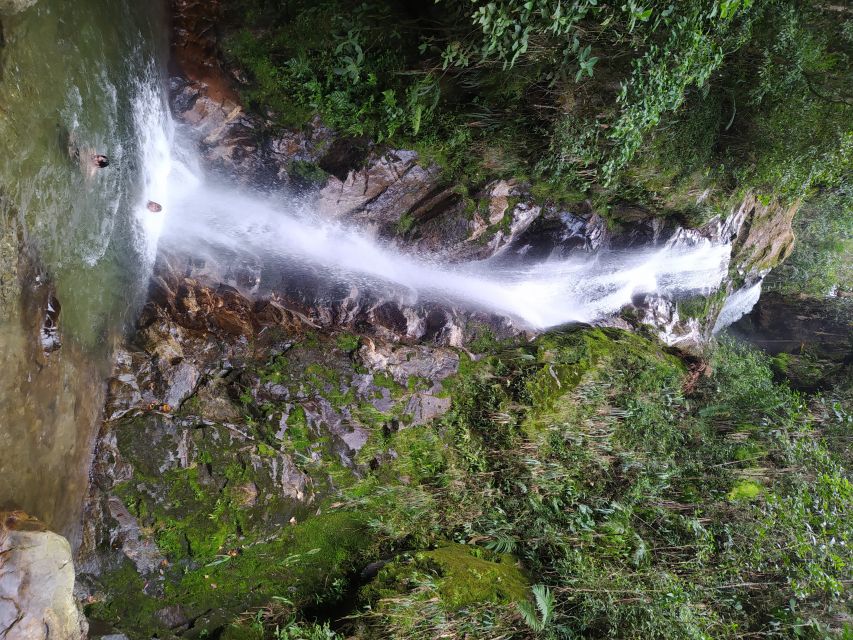 Medellin: Half–Day Private Nature Tour & Waterfall Hike - Pickup Details and Physical Requirements