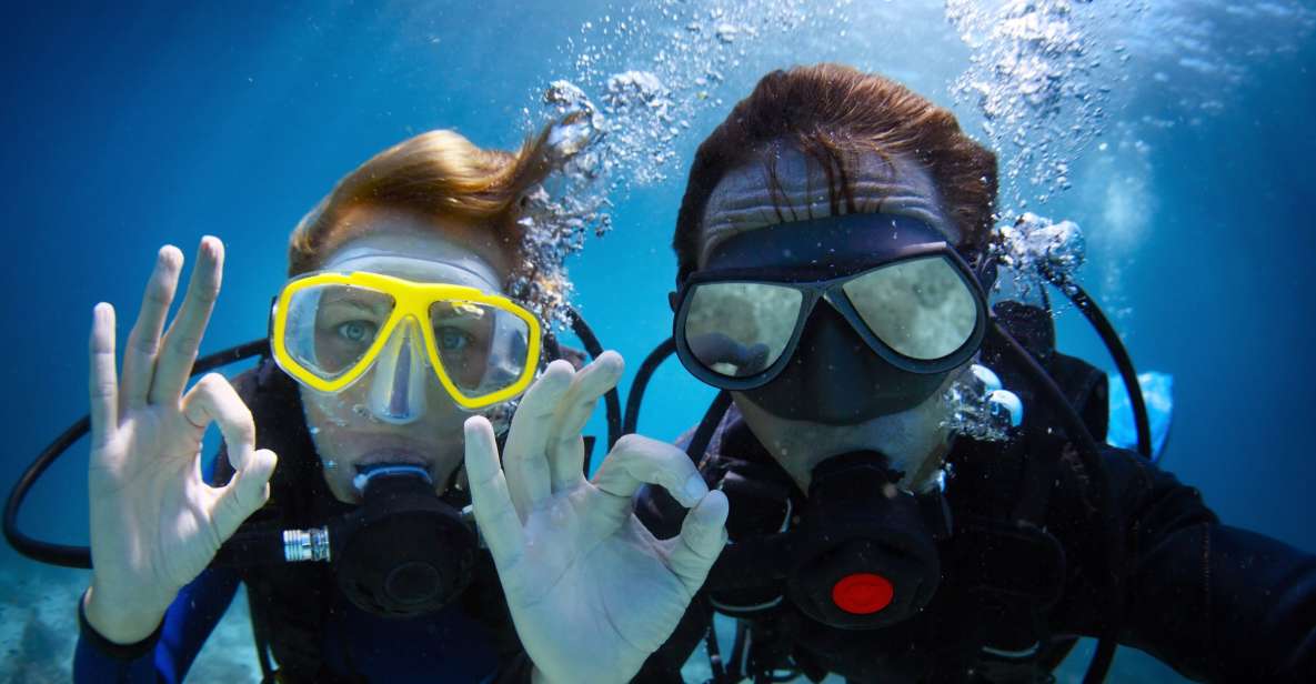 1 mediterranean sea diving experience with transfer Mediterranean Sea Diving Experience With Transfer