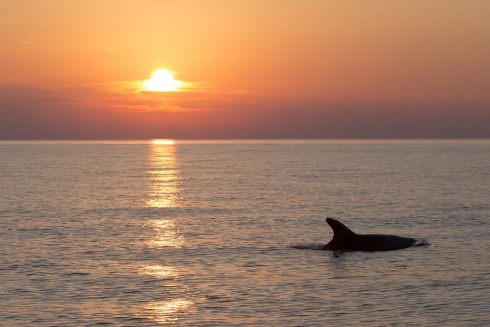 1 medulin sunset archipelago and dolphin cruise with dinner Medulin: Sunset Archipelago and Dolphin Cruise With Dinner