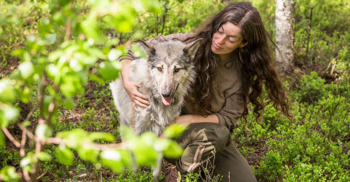 1 meet taivas the arctic wolves Meet Taivas & the Arctic Wolves