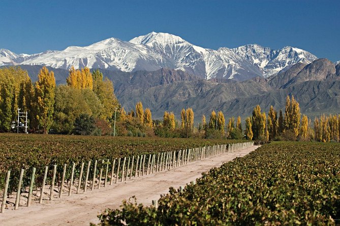 Mendoza: Aconcagua Adventure in the Andes Mountains