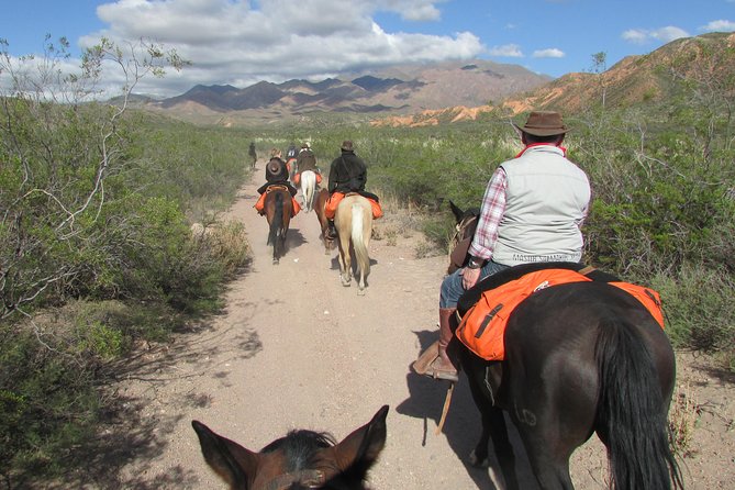Mendoza Private Multi-Day Horseback Excursion in the Andes