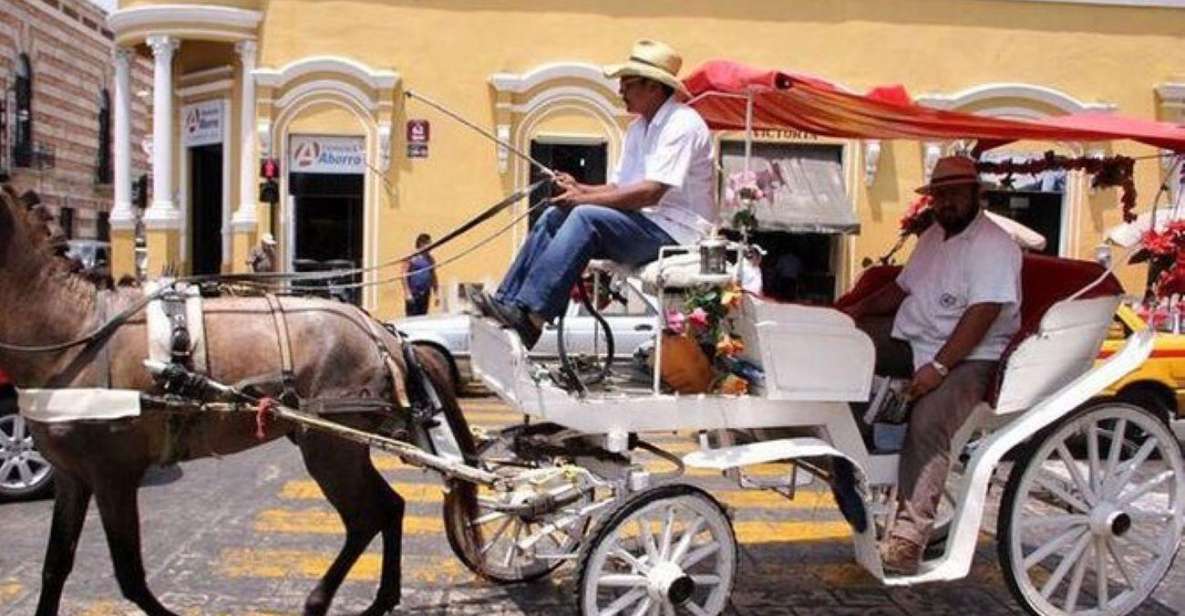 1 merida horse drawn carriage Mérida: Horse-Drawn Carriage Experience