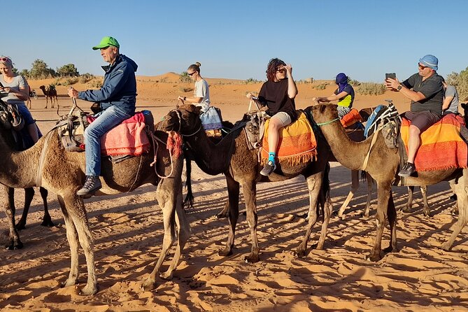 Merzouga Sahara & Erg Chebbi Luxury Bivouac